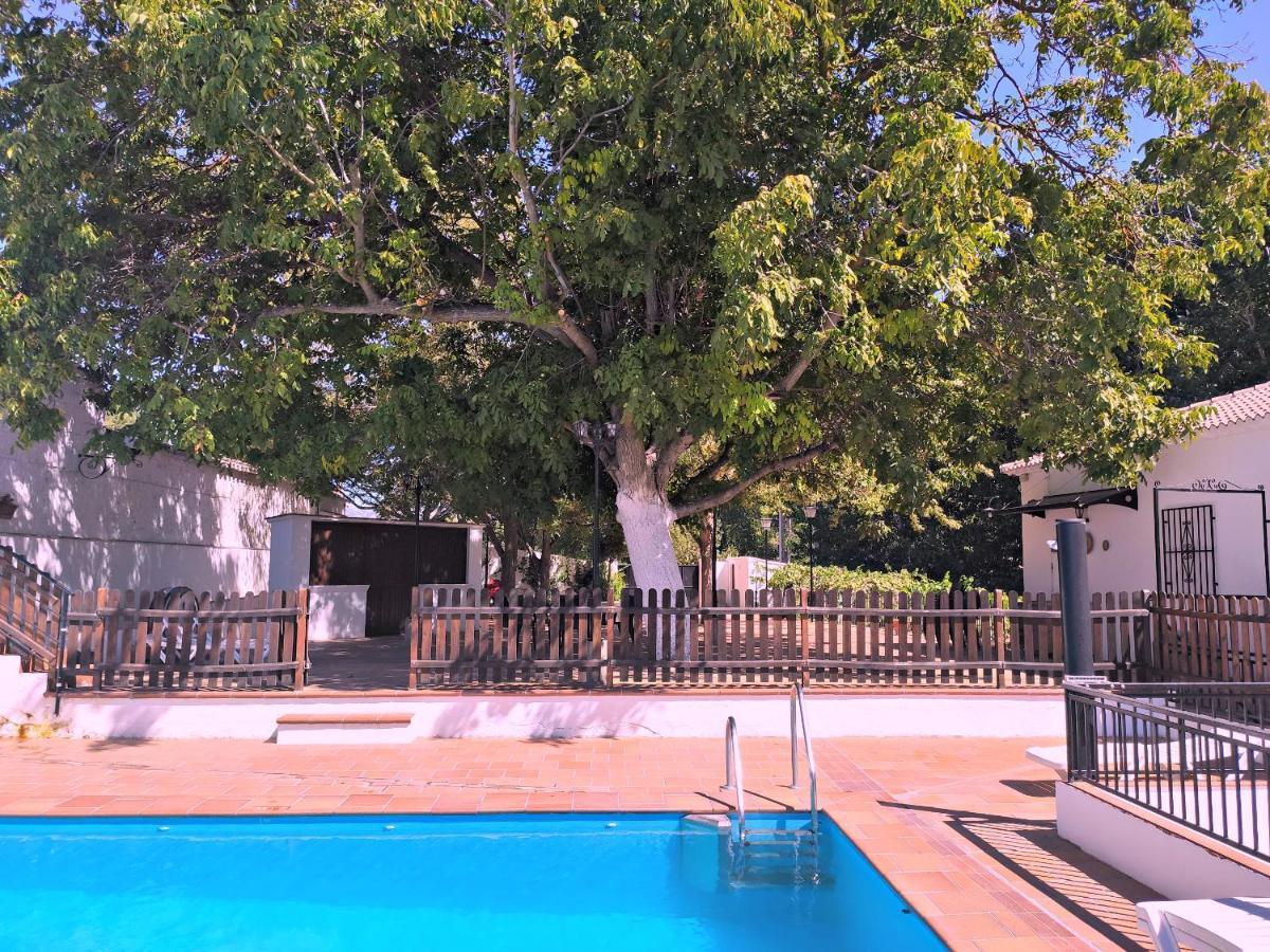 Complejo Apartamentos Rurales Molino De Abajo Ribera Baja  Exteriér fotografie