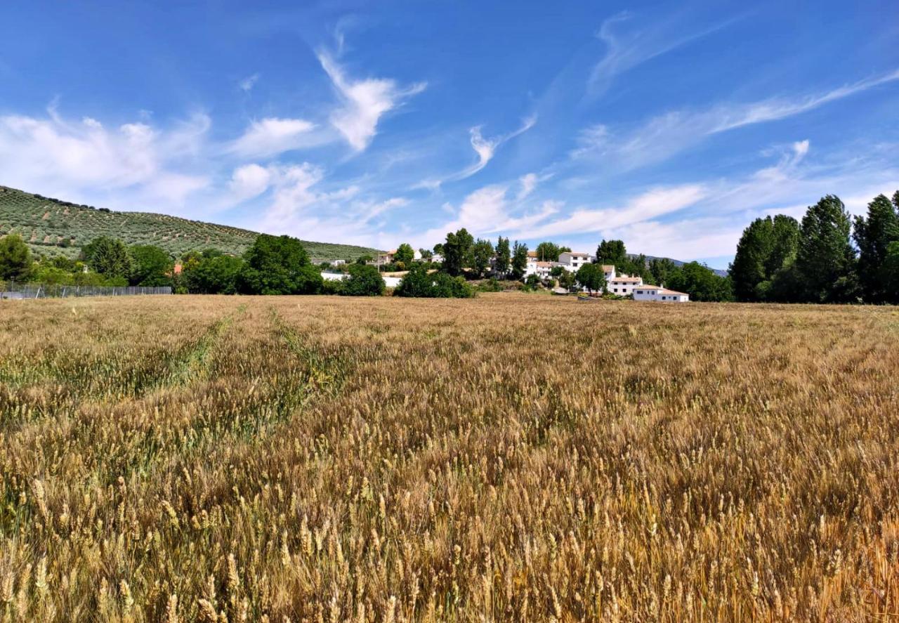Complejo Apartamentos Rurales Molino De Abajo Ribera Baja  Exteriér fotografie
