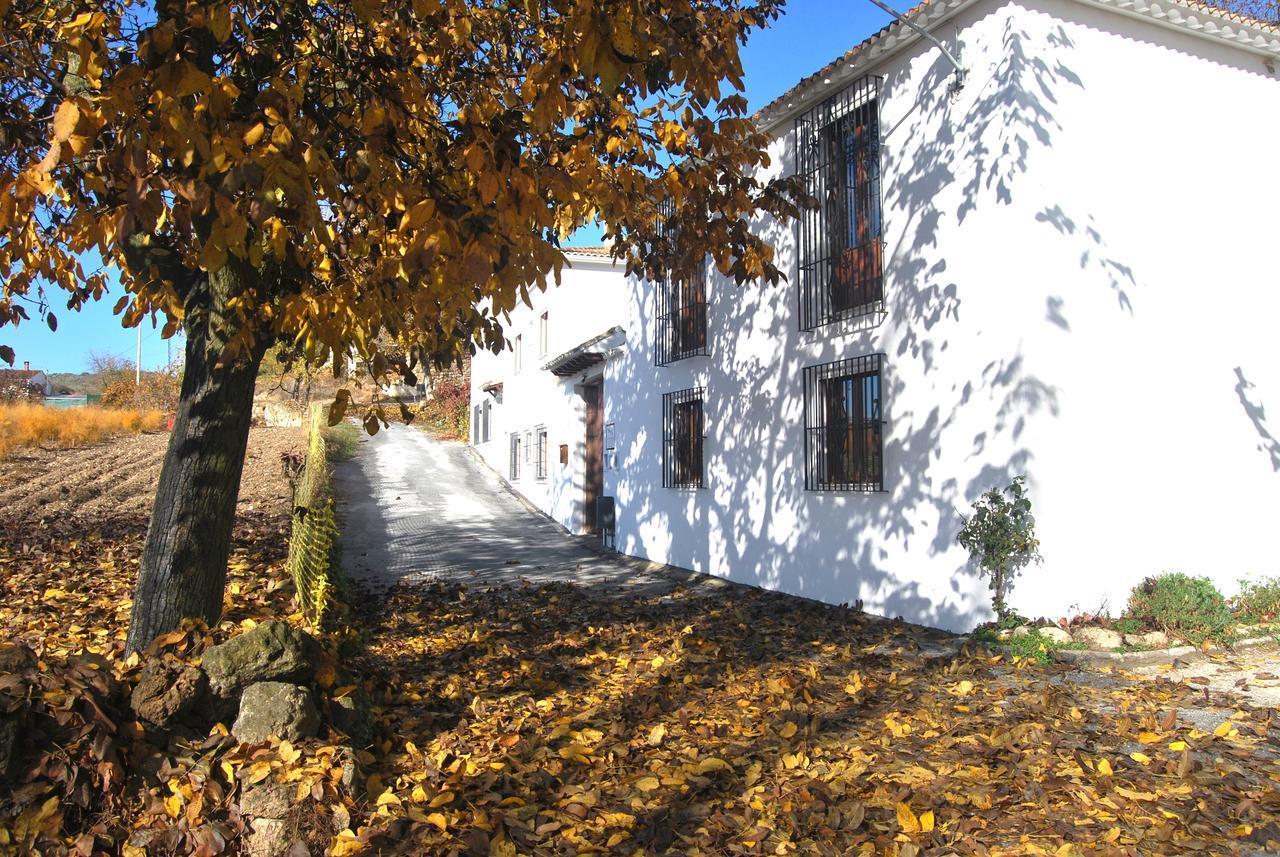 Complejo Apartamentos Rurales Molino De Abajo Ribera Baja  Exteriér fotografie