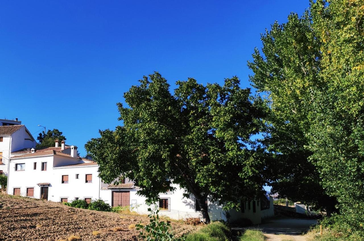 Complejo Apartamentos Rurales Molino De Abajo Ribera Baja  Exteriér fotografie